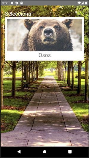 Rompecabezas de Osos Screenshot 0