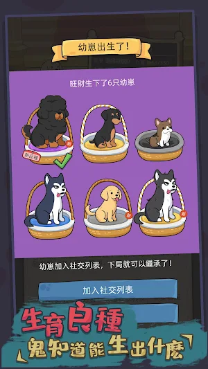 狗生模擬器 Screenshot 2
