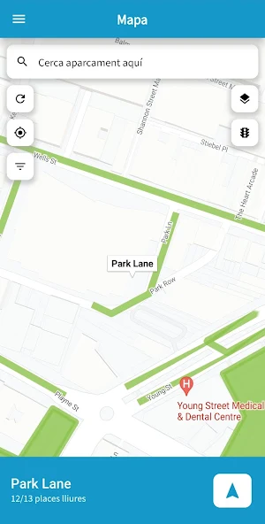 Parking at Frankston Screenshot 3