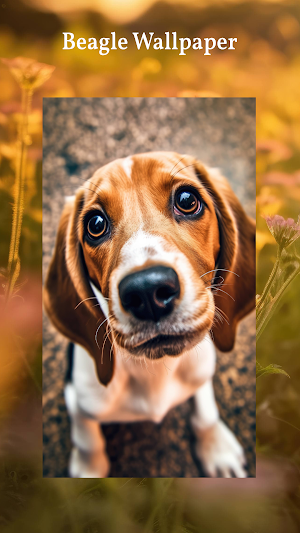 Beagle Wallpaper Screenshot 2
