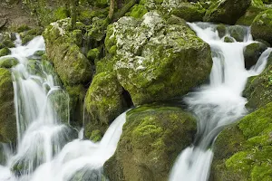 Serbia nature wallpapers Screenshot 1