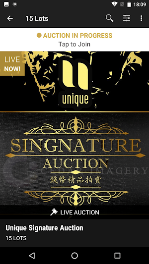 Unique Auctions Screenshot 1