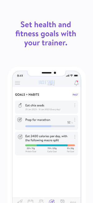 Lacey Smith Coaching Screenshot 3