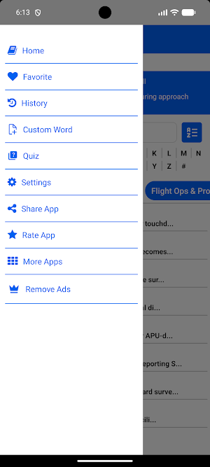 Aviation Terms and Phrases Screenshot 3