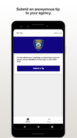 Windham PD Screenshot 0