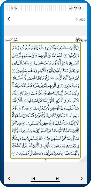 القران الكريم كاملا بدون نت Screenshot 0