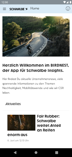 BIRDNEST Screenshot 0