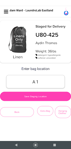 Laundry Processing Screenshot 2