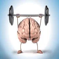 Keep Brain with you