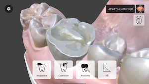Dental Insight Master Screenshot 2