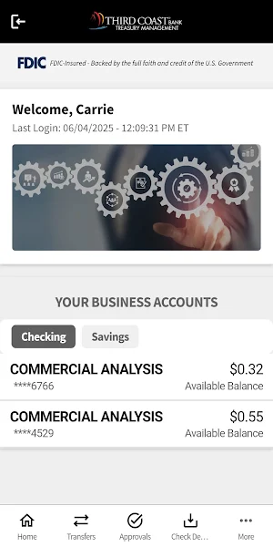TCB Treasury Screenshot 1