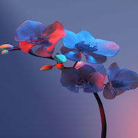 Orchid Live Wallpaper Parallax