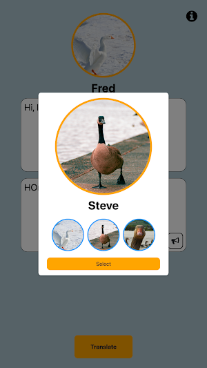 Goose Translator Screenshot 1