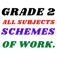 Grade 2 All Schemes of work.