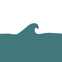 Surf Log