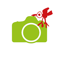 Elbkinder-Foto