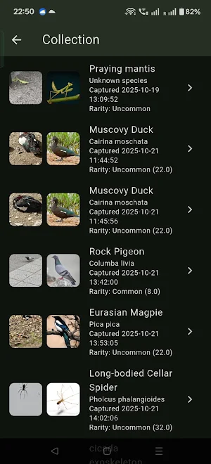 Terracatch Screenshot 1
