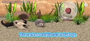 My Hedgehog Screenshot 0
