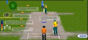 International World Cricket Screenshot 1