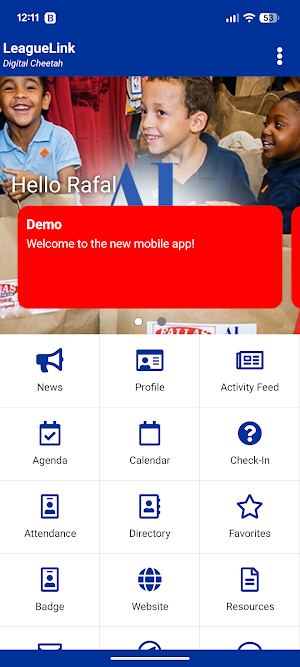 LeagueLink - Assistance League Screenshot 1
