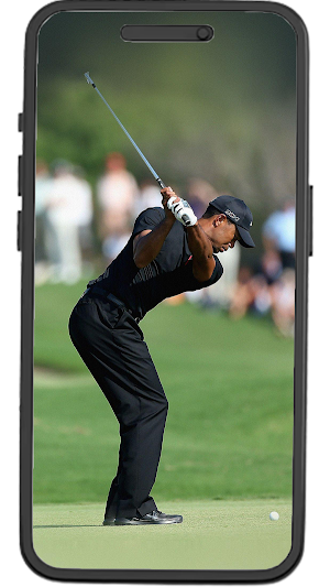 Tiger Woods Wallpapers Screenshot 3
