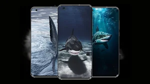Sharks Wallpaper Screenshot 0