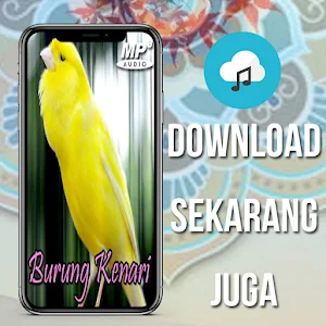 Masteran Kenari Gacor MP3 Screenshot 3