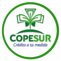 COPESUR App