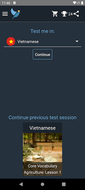 Vietnamese Language Tests Screenshot 0
