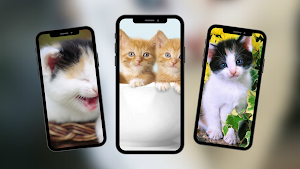 Cats Wallpaper Screenshot 3