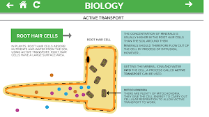 Biology GCSE Screenshot 1