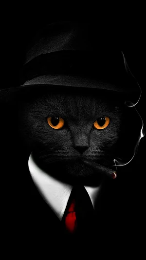Cat Wallpapers 2022 Screenshot 2