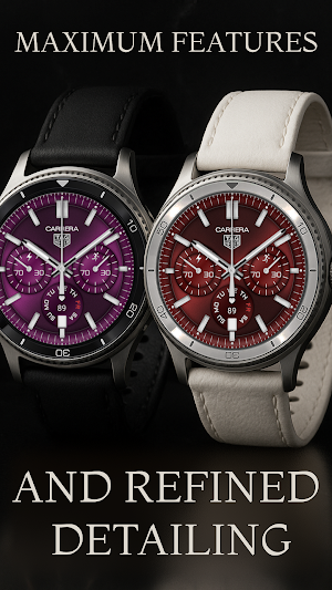 TAG Heuer Carrera Sport Screenshot 2