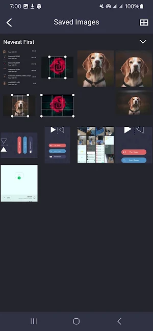 Flip Image Mirror Image Screenshot 3