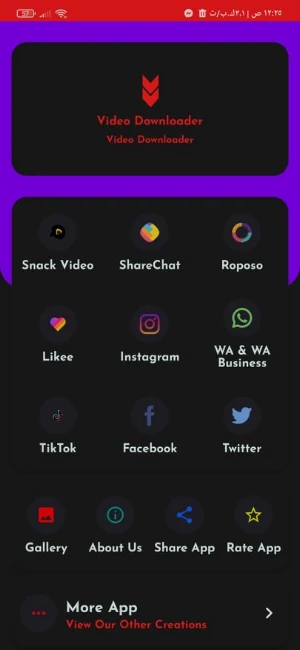 Video Downloader Screenshot 1