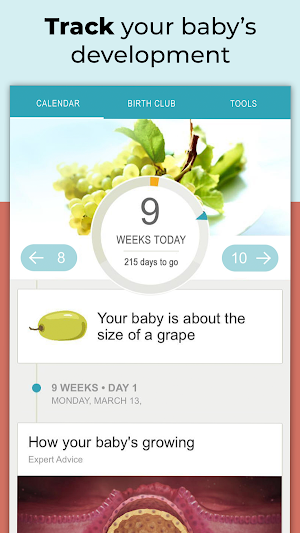 Pregnancy Tracker + Countdown to Baby Due Date Screenshot 1