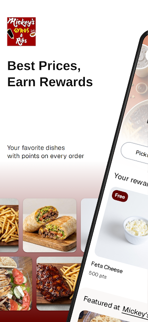 Mickey's Gyros and Ribs Screenshot 0