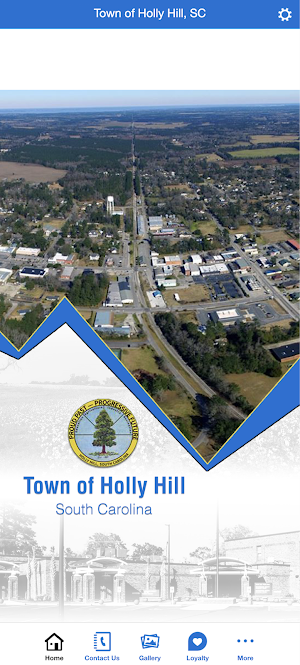 Town of Holly Hill, SC Screenshot 2