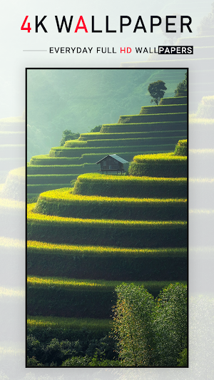 4K Wallpapers Screenshot 2