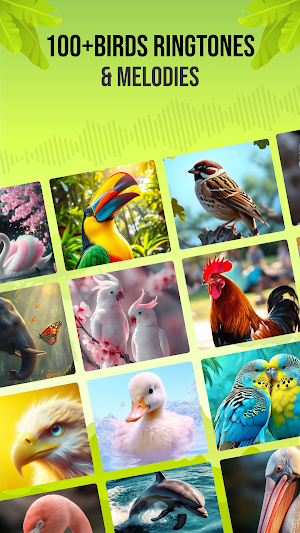 Birds Sounds Screenshot 2