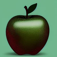Guess The Shape Quiz