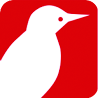 Picchio News Official