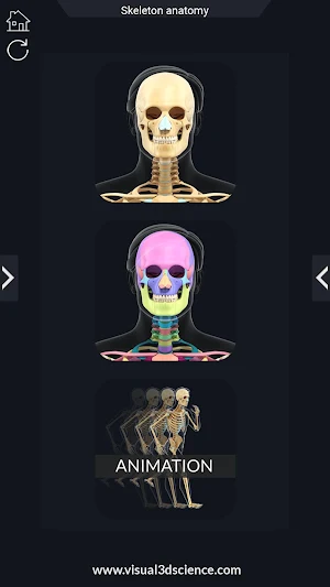 Skeleton Anatomy Pro. Screenshot 0