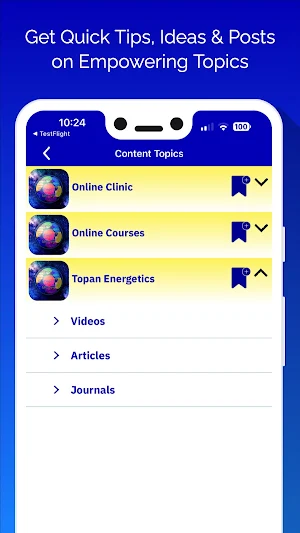 Topan Energetics Screenshot 3