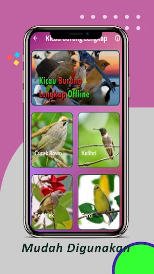 Kicau Burung Lengkap Offline Screenshot 0