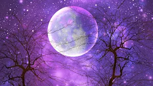 Full Moon Wallpapers Screenshot 2