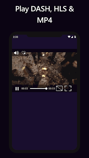 Smart Video Player Screenshot 2