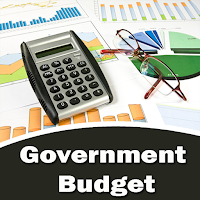 Understanding Government Budgets