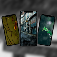 Winter Wallpapers 4k