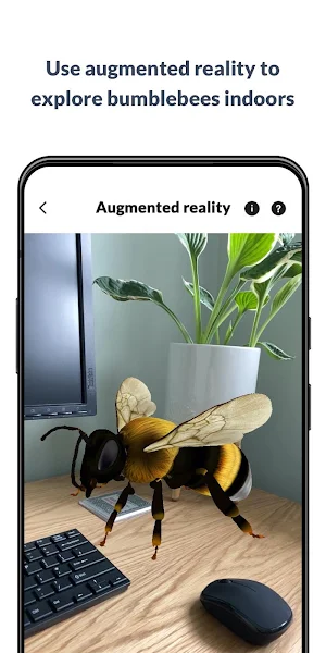 What’s that bumblebee Screenshot 1